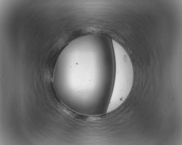 X0000062930617200601131116