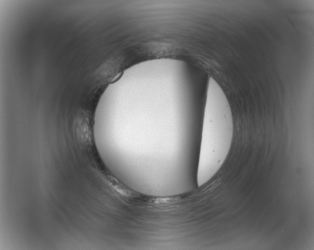 X0000062930622200601131116