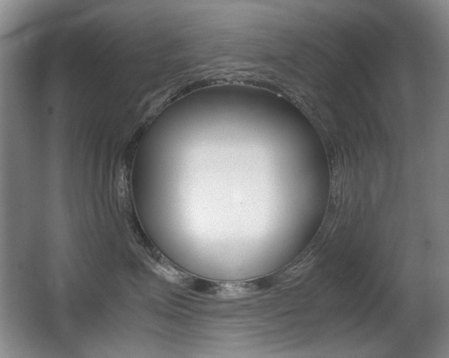 X0000062930623200601131116