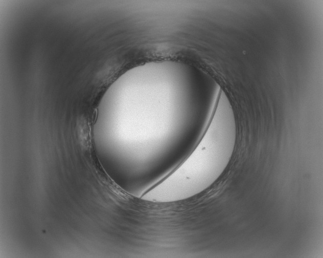 X0000062930624200601131116