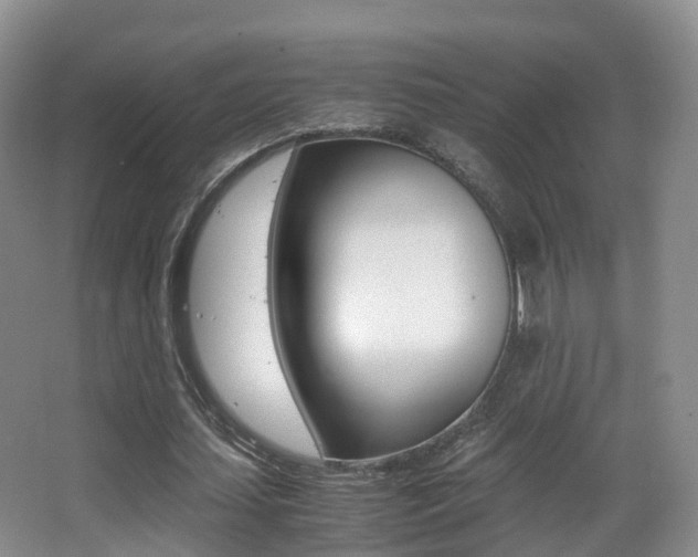 X0000062930627200601131115