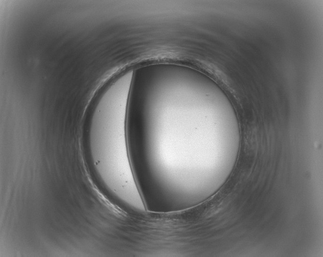 X0000062930629200601131115