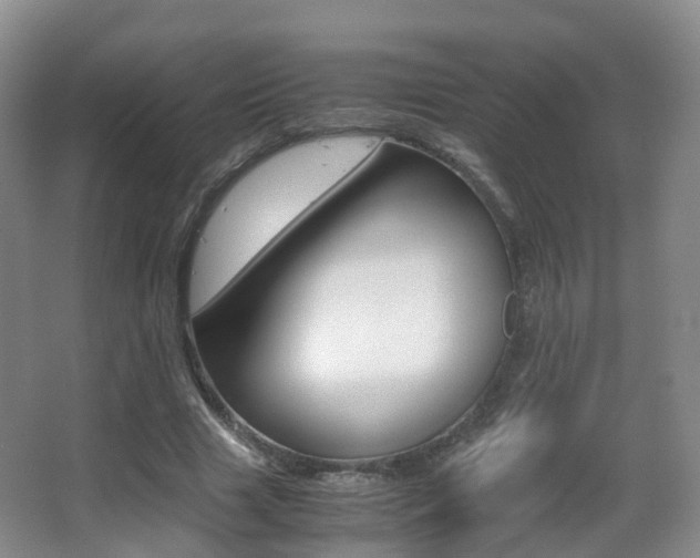 X0000062930633200601131115