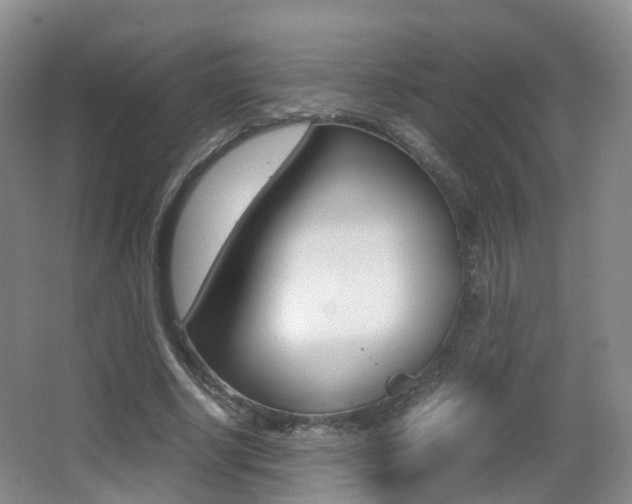 X0000062930634200601131115