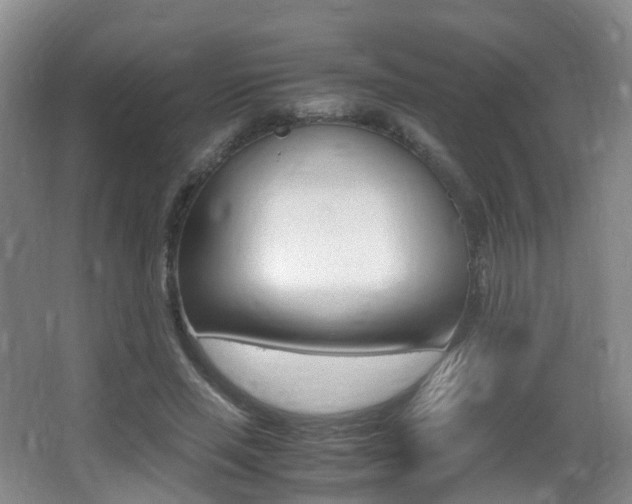 X0000062930637200601131115