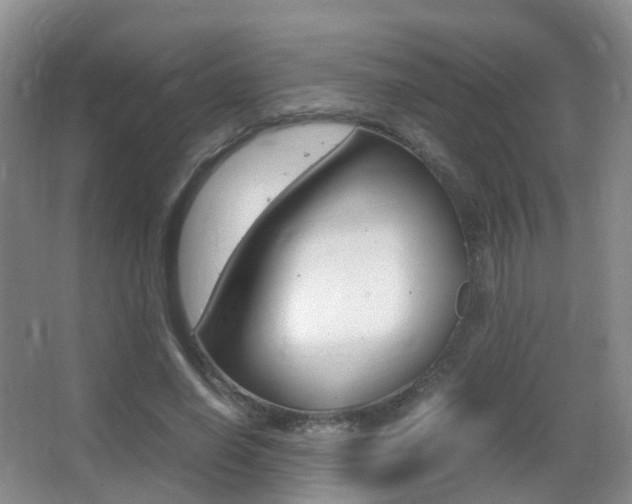 X0000062930638200601131115
