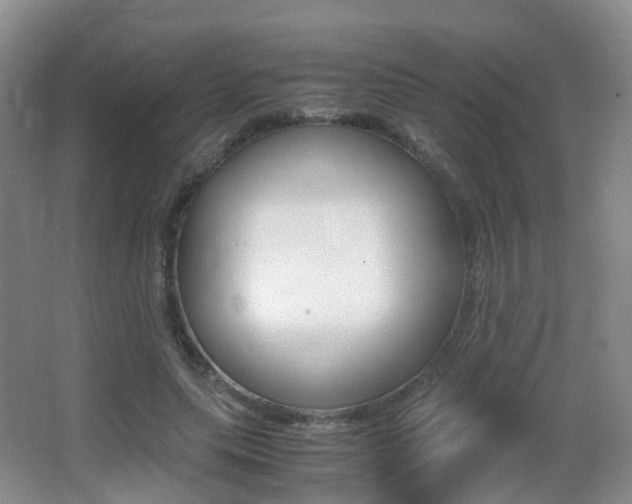 X0000062930639200601131115