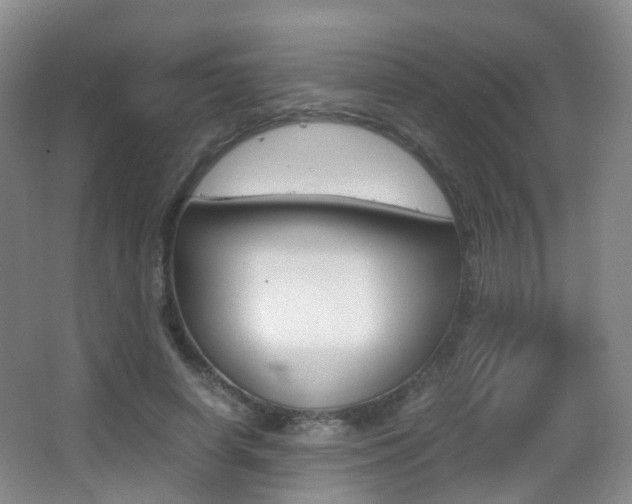 X0000062930642200601131115