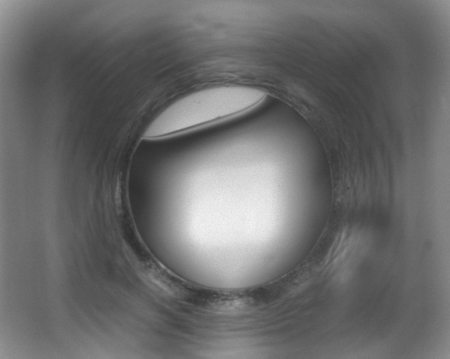 X0000062930646200601131115