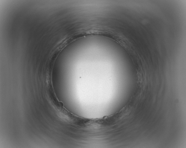 X0000062930648200601131115