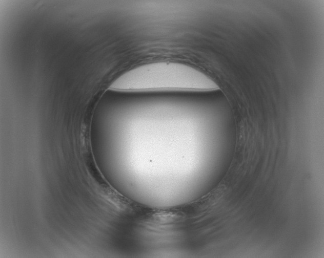 X0000062930650200601131115