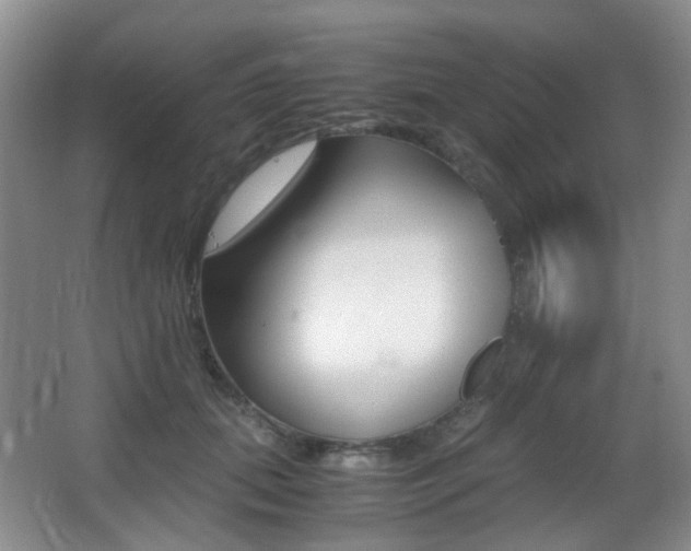 X0000062930655200601131115