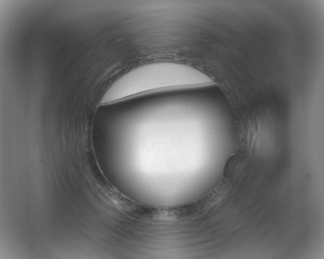 X0000062930656200601131115