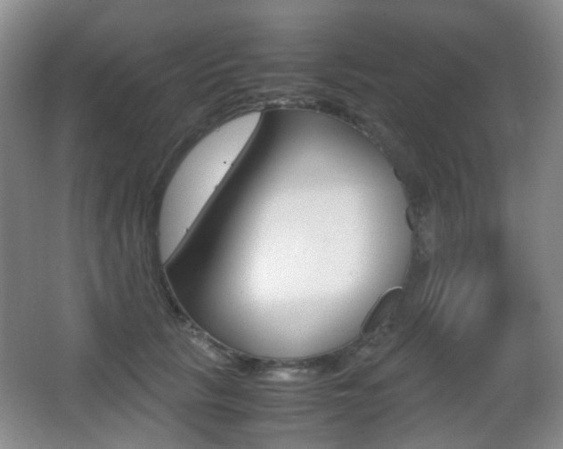 X0000062930657200601131115