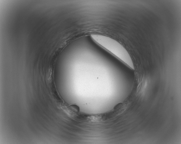 X0000062930660200601131115