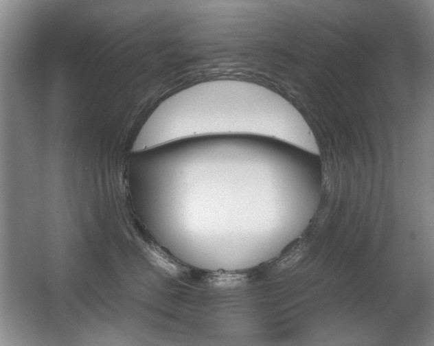 X0000062930670200601131116