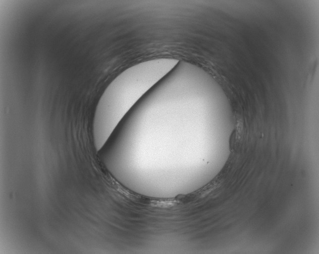 X0000062930671200601131116