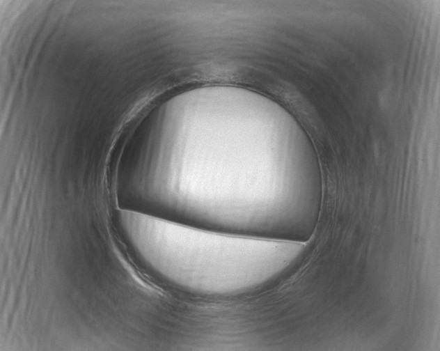 X0000062930674200601131115