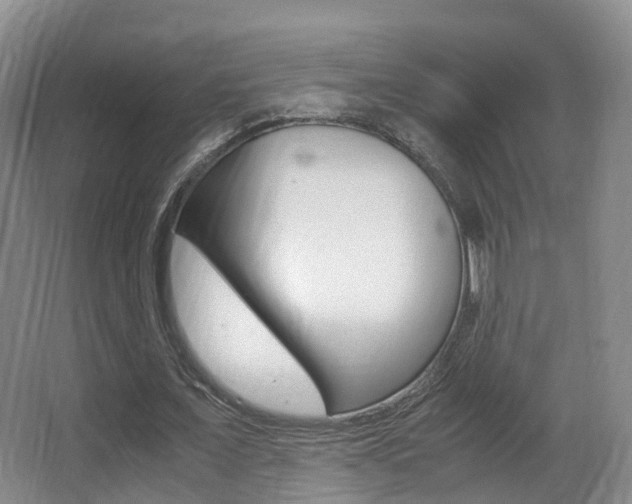 X0000062930675200601131115