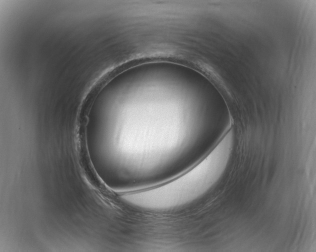 X0000062930676200601131115