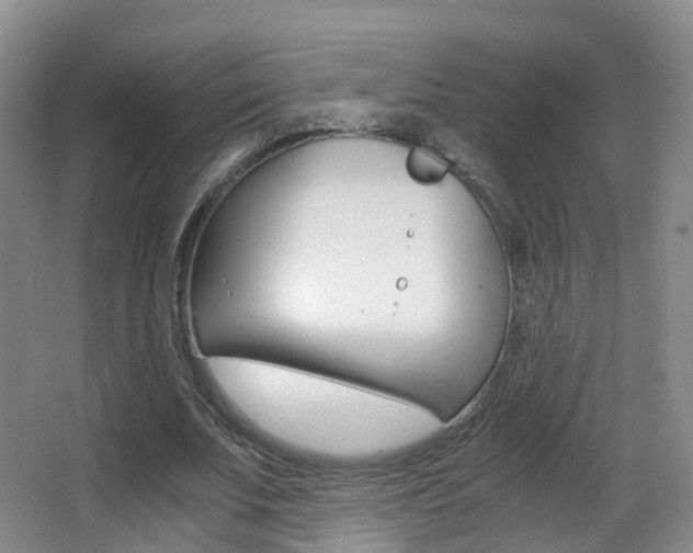 X0000062930679200601131115