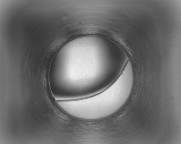 X0000062930681200601131115