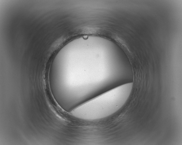 X0000062930682200601131115