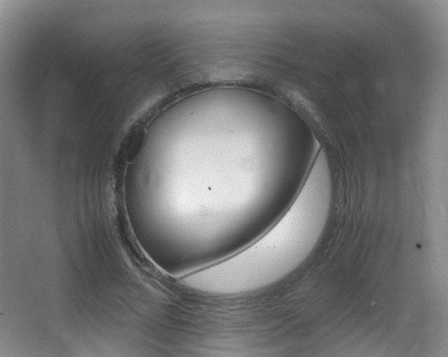 X0000062930684200601131115