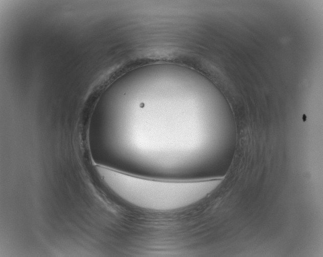 X0000062930688200601131115