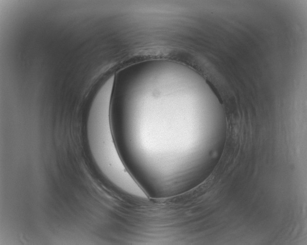 X0000062930692200601131114