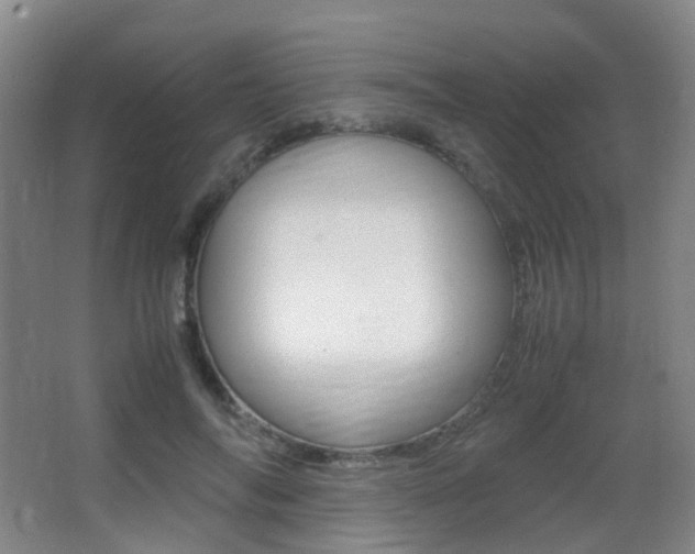 X0000062930694200601131114