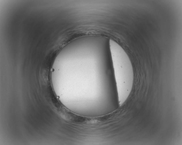 X0000062930695200601131114