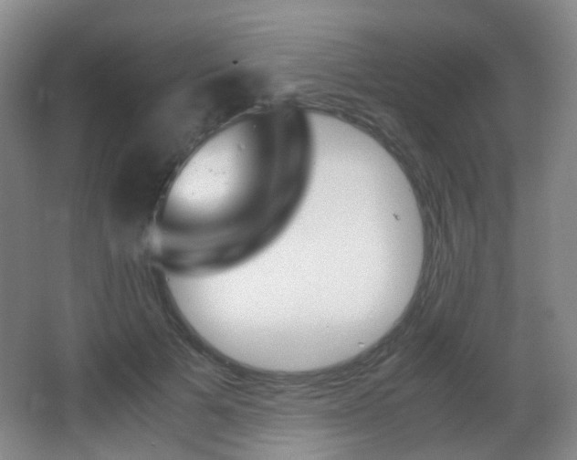 X0000062930697200601131114