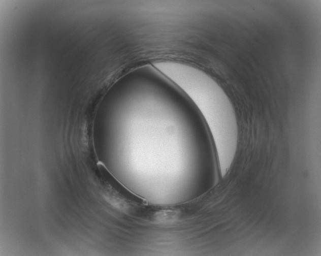 X0000062930700200601131114