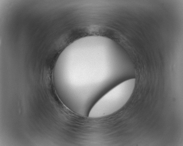 X0000062930702200601131114