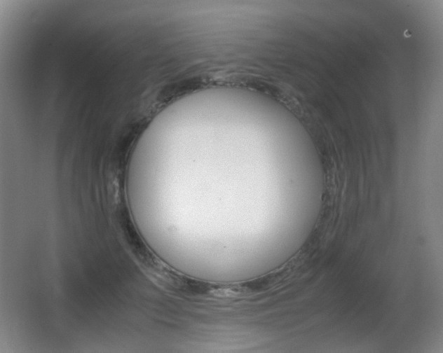 X0000062930703200601131114