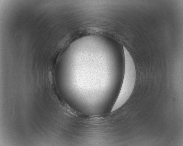 X0000062930716200601131114