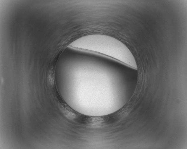 X0000062930719200601131114