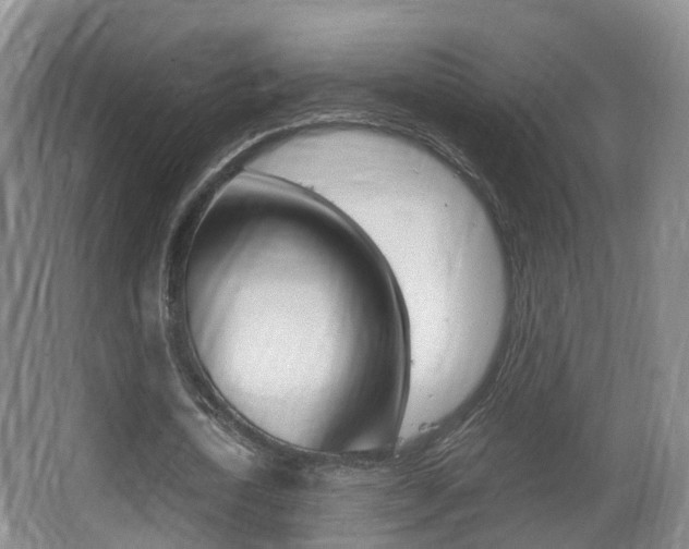 X0000062930722200601131113
