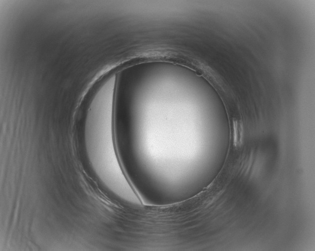 X0000062930723200601131113