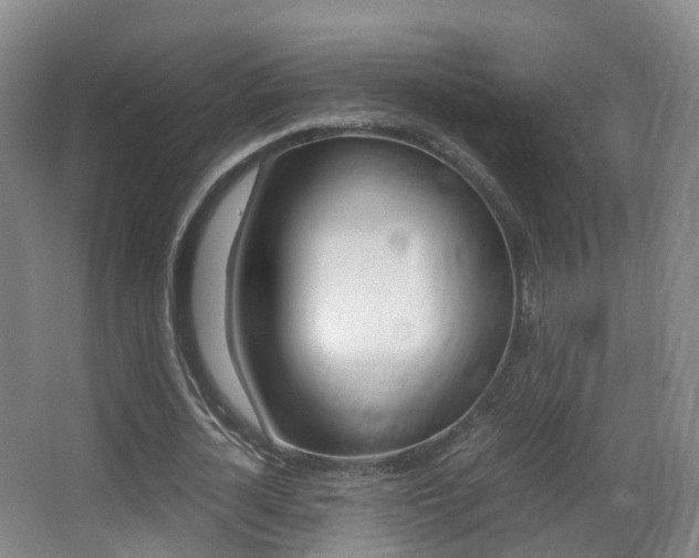 X0000062930724200601131113