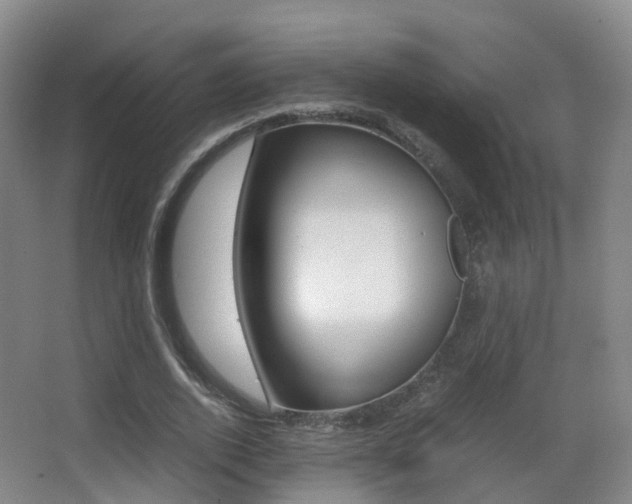 X0000062930728200601131113