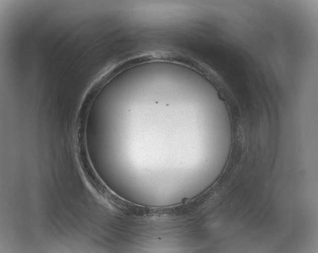 X0000062930730200601131113