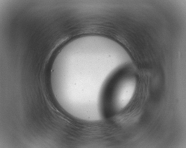 X0000062930731200601131113