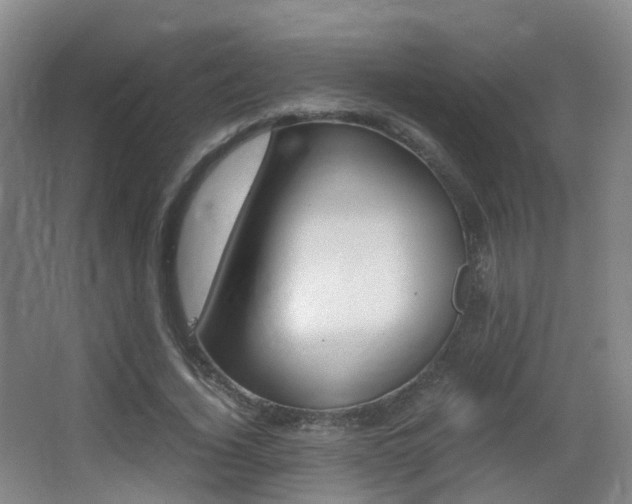 X0000062930732200601131113
