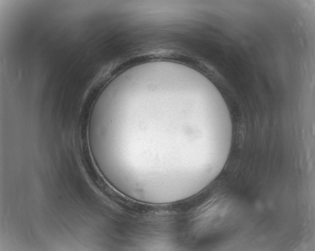 X0000062930734200601131113