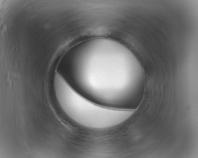 X0000062930736200601131113