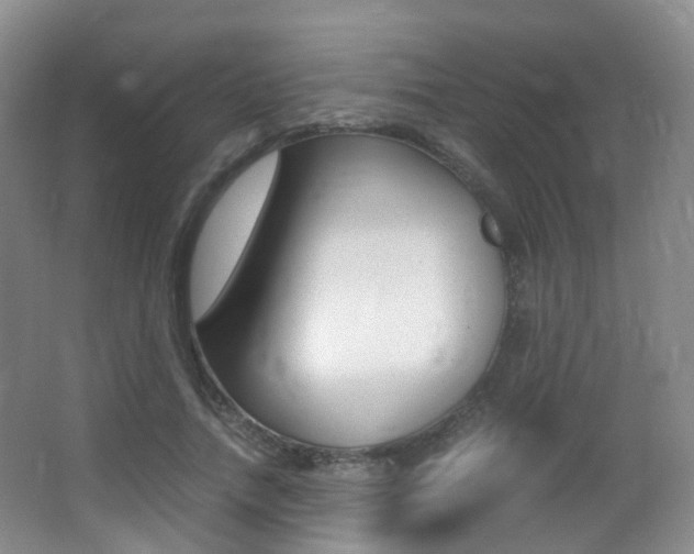 X0000062930738200601131113