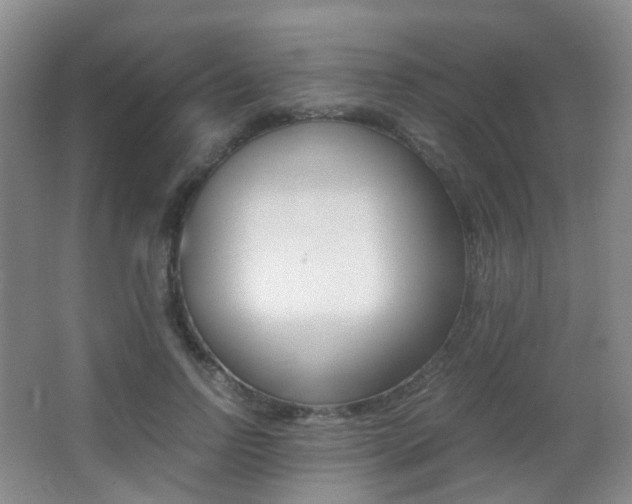 X0000062930742200601131113