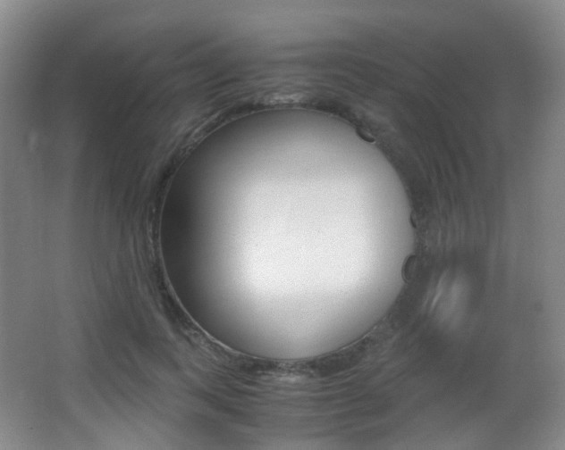 X0000062930743200601131114